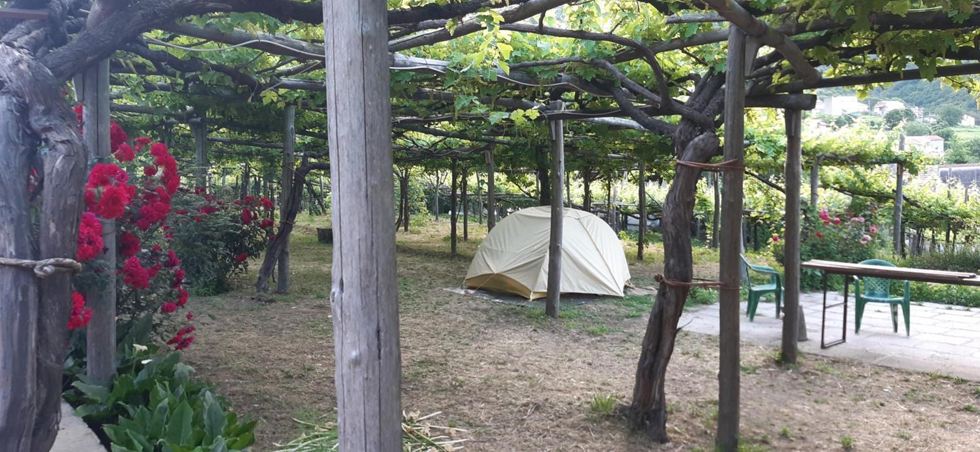 Agriturismo Mare E Monti Konuk evi Tramonti Dış mekan fotoğraf