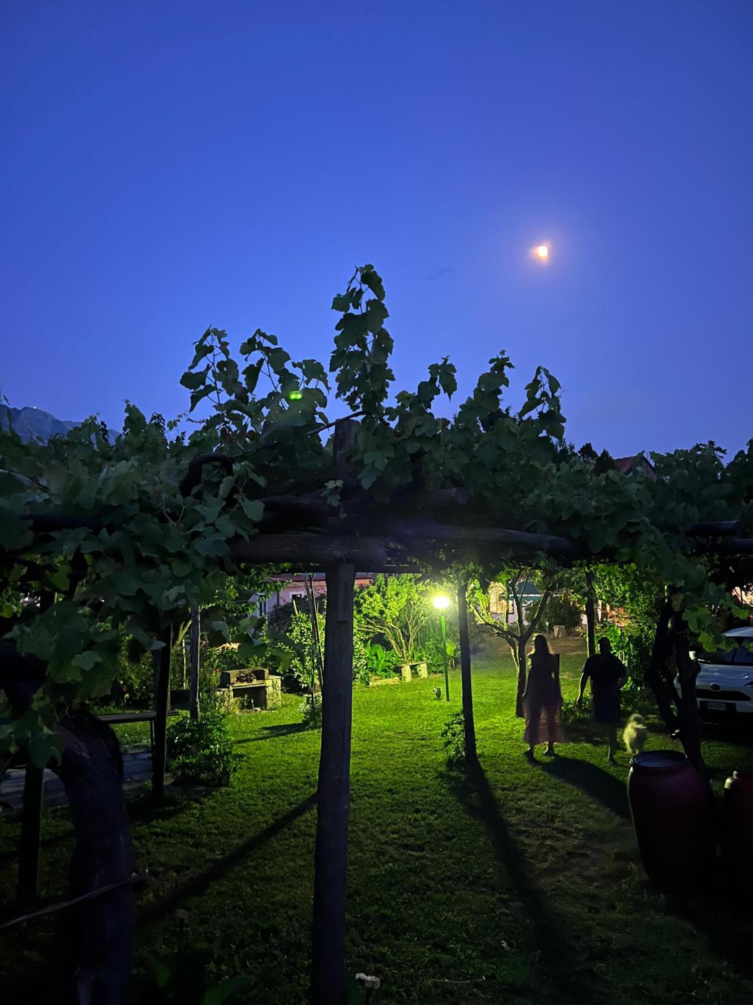 Agriturismo Mare E Monti Tramonti Dış mekan fotoğraf