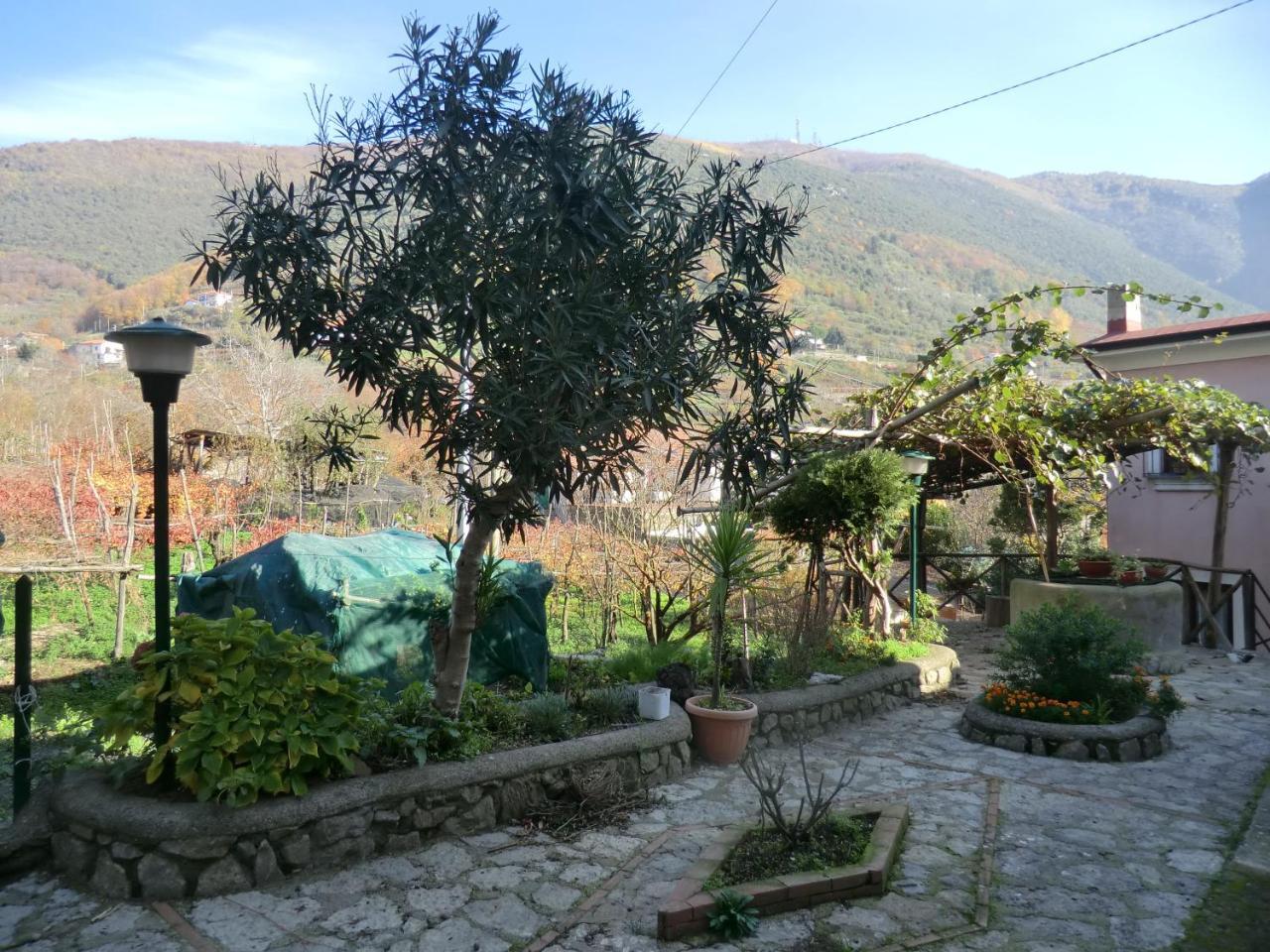 Agriturismo Mare E Monti Konuk evi Tramonti Dış mekan fotoğraf